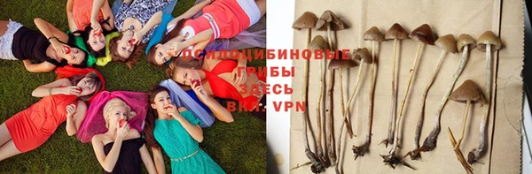 mix Абаза