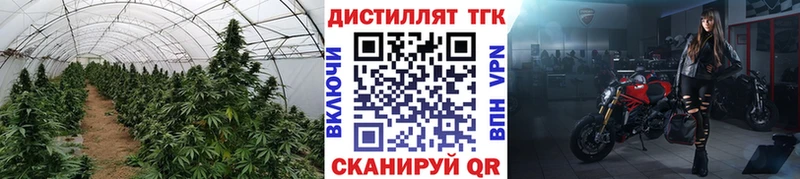 Дистиллят ТГК Wax  купить   Гаджиево 